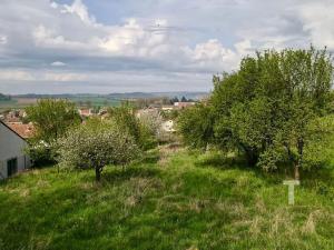 Prodej pozemku pro bydlení, Bořitov, 2381 m2