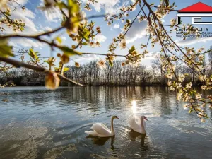 Prodej bytu 3+kk, Brno - Holásky, 90 m2