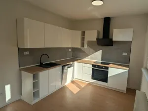 Pronájem bytu 2+1, Bílina, Sídliště U Nového nádraží, 55 m2
