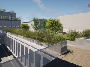Pronájem obchodního prostoru, Opava - Město, Masarykova třída, 20 m2