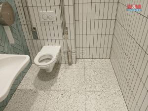 Prodej obchodního prostoru, Opava - Město, Masarykova třída, 40 m2