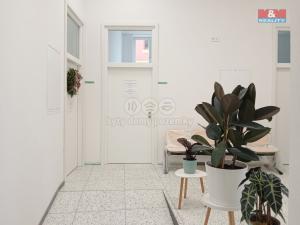 Prodej obchodního prostoru, Opava - Město, Masarykova třída, 40 m2