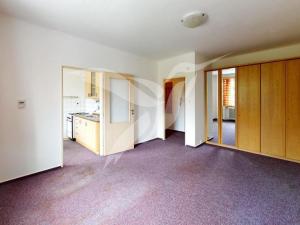 Pronájem bytu 1+1, Plzeň, Sušická, 33 m2