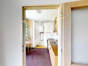 Pronájem bytu 1+1, Plzeň, Sušická, 33 m2