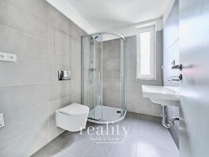 Pronájem bytu 2+kk, Jihlava, Vrchlického, 54 m2