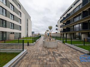 Pronájem bytu 2+kk, Plzeň - Jižní Předměstí, Železná, 73 m2