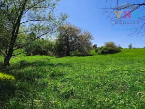 Prodej chalupy, Konice, 60 m2