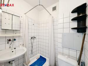 Pronájem bytu 1+kk, Strakonice - Strakonice I, Mírová, 16 m2