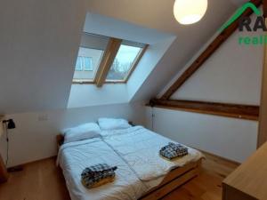Pronájem bytu 3+kk, Stříbro, Soběslavova, 83 m2