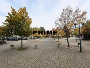 Pronájem rodinného domu, Průhonice, Františka Zemana, 400 m2