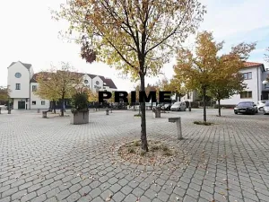 Pronájem rodinného domu, Průhonice, Františka Zemana, 400 m2