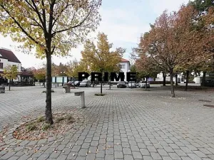 Pronájem rodinného domu, Průhonice, Františka Zemana, 400 m2