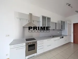 Pronájem rodinného domu, Praha - Nebušice, Nebušická, 260 m2