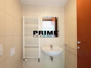 Pronájem rodinného domu, Praha - Nebušice, Nebušická, 260 m2