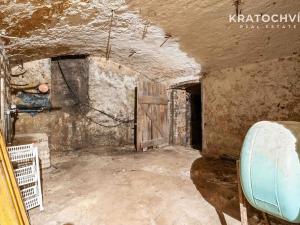 Prodej obchodního prostoru, Odolena Voda, Květnová, 220 m2
