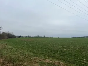 Prodej pole, Neděliště, 722 m2