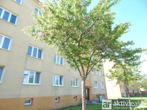 Prodej bytu 2+1, Duchcov, Družby, 55 m2