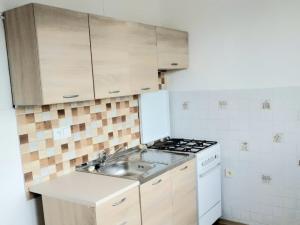 Prodej bytu 2+1, Duchcov, Družby, 55 m2