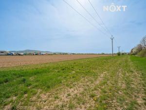 Prodej komerčního pozemku, Zábřeh, Lesnická, 16000 m2
