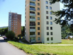 Prodej bytu 2+1, Tanvald, Palackého, 59 m2