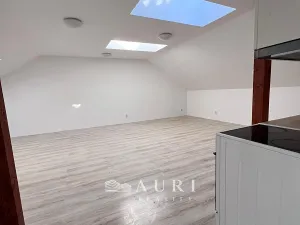 Pronájem bytu 1+kk, Rakovník, Havlíčkova, 58 m2