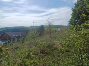 Prodej pozemku pro bydlení, Nesovice, 2541 m2