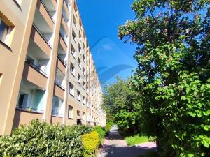 Prodej bytu 2+1, Praha - Záběhlice, Zvonková, 53 m2