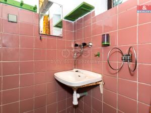 Prodej chalupy, Slavíkov - Dlouhý, 100 m2