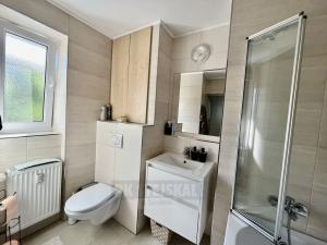 Pronájem bytu 2+1, České Budějovice - České Budějovice 3, Puklicova, 60 m2