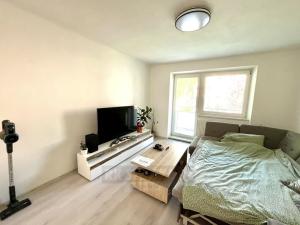 Pronájem bytu 2+1, České Budějovice - České Budějovice 3, Puklicova, 60 m2
