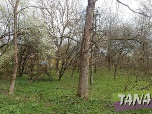 Prodej zemědělské usedlosti, Kobyly, 550 m2