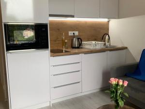 Prodej bytu 1+kk, Praha - Libeň, Hejtmánkova, 26 m2