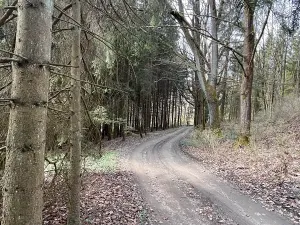 Prodej chalupy, Rychnov u Jablonce nad Nisou, 130 m2