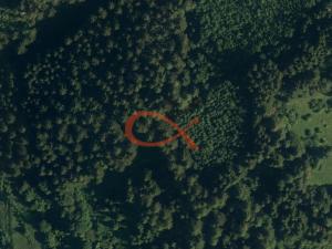 Prodej lesa, Nový Hrozenkov, 36473 m2