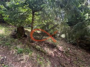 Prodej lesa, Nový Hrozenkov, 36473 m2