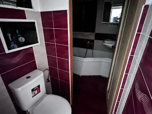 Prodej bytu 2+1, Plzeň, Lábkova, 45 m2