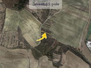 Prodej louky, Ždánice, 2540 m2