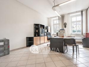 Prodej vícegeneračního domu, Teplice, Myslbekova, 510 m2