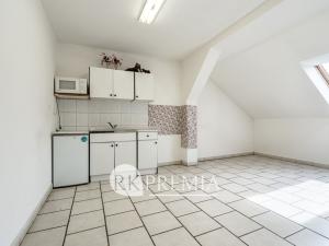 Prodej vícegeneračního domu, Teplice, Myslbekova, 510 m2