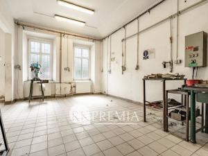Prodej vícegeneračního domu, Teplice, Myslbekova, 510 m2