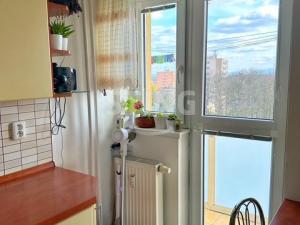Prodej bytu 2+1, Ostrava, Václavská, 53 m2