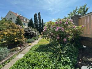 Prodej rodinného domu, Praha - Strašnice, U krbu, 235 m2