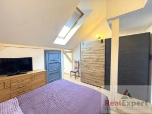Prodej bytu 4+kk, Praha - Smíchov, U Pernikářky, 174 m2