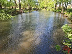 Pronájem rybníku, Bystřice pod Hostýnem, 781 m2