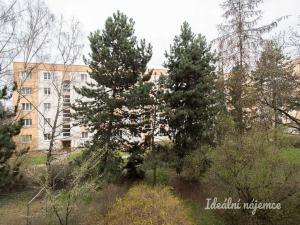 Pronájem bytu 2+1, Praha - Malešice, Počernická, 53 m2