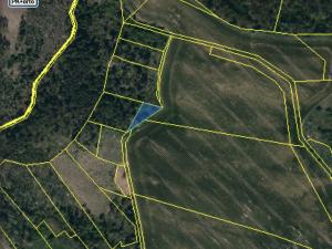 Prodej lesa, Slavičky - Pozďátky, 560 m2