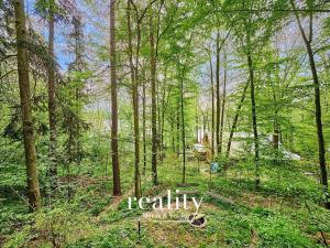 Prodej chaty, Štítary, 40 m2