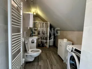 Prodej vícegeneračního domu, Ostrava - Petřkovice, 250 m2