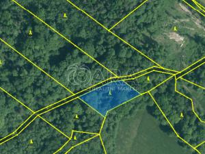 Prodej lesa, Brloh, 28851 m2