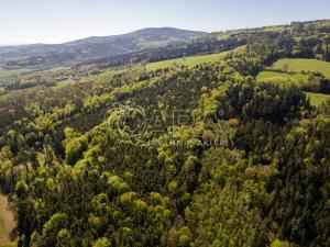 Prodej lesa, Brloh, 28851 m2